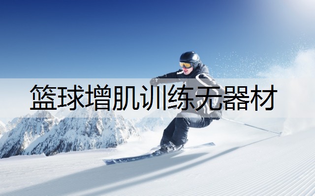 篮球增肌训练无器材