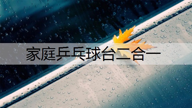 家庭乒乓球台二合一