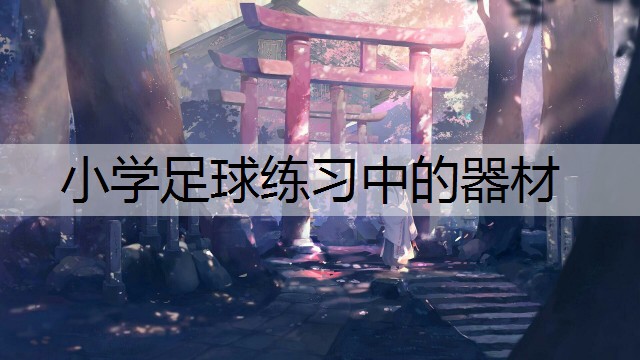 小学足球练习中的器材