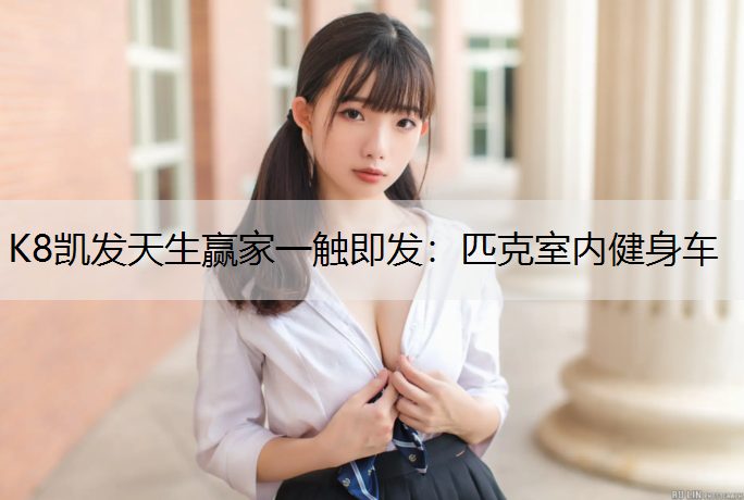 K8凯发天生赢家一触即发：匹克室内健身车
