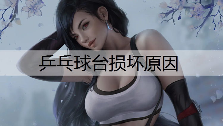 乒乓球台损坏原因