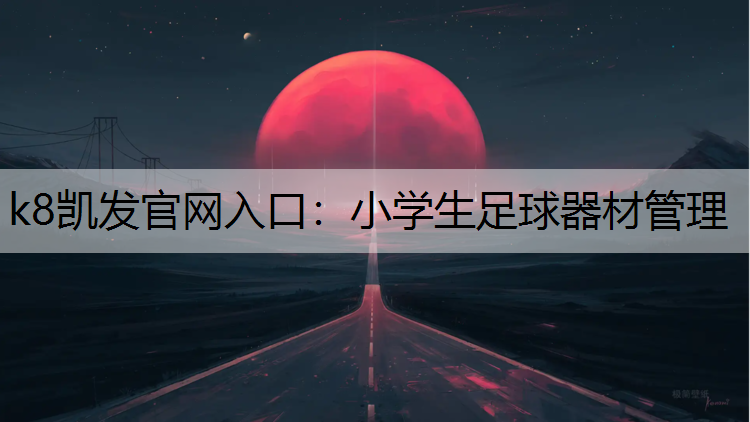 k8凯发官网入口：小学生足球器材管理