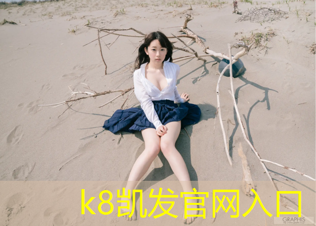 K8凯发：蓝色塑胶跑道铺设图纸