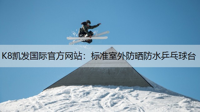 标准室外防晒防水乒乓球台