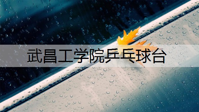 武昌工学院乒乓球台