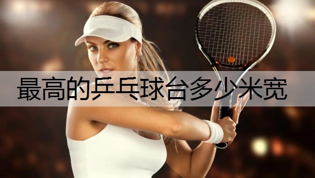 最高的乒乓球台多少米宽