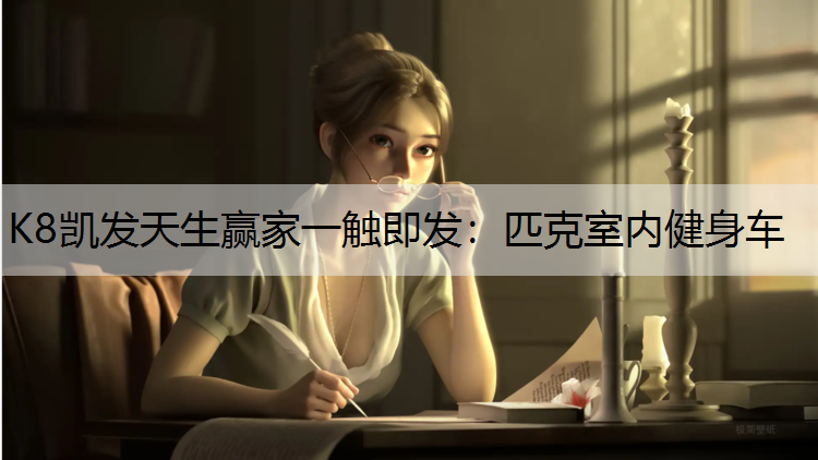 匹克室内健身车