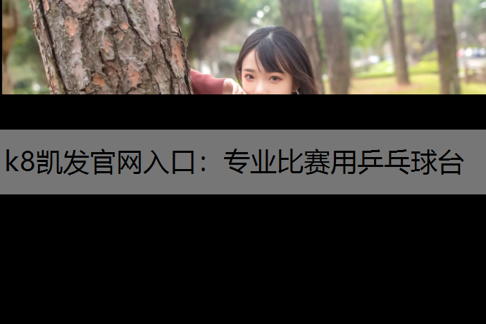 专业比赛用乒乓球台
