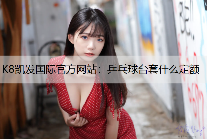乒乓球台套什么定额