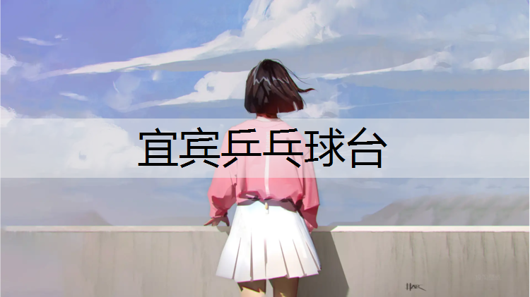 宜宾乒乓球台