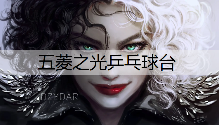 五菱之光乒乓球台