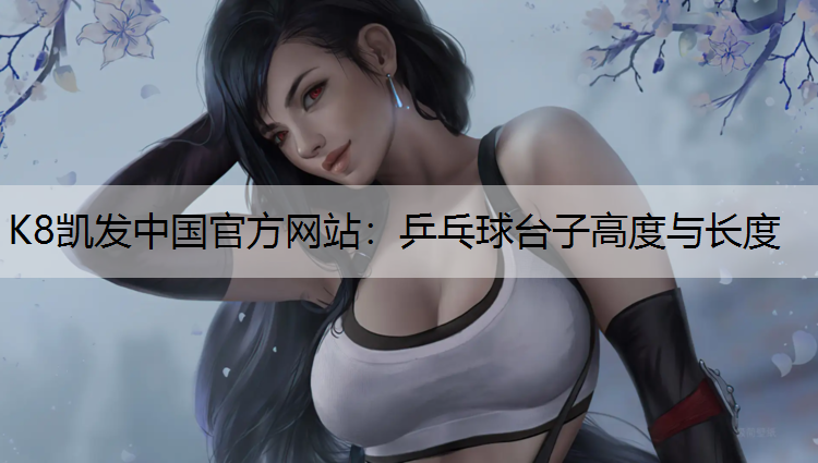 乒乓球台子高度与长度